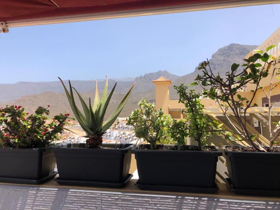 Apartamento Con Impresionantes Vistas Y Piscina Costa Adeje  Eksteriør billede