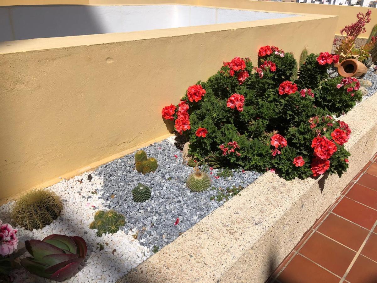 Apartamento Con Impresionantes Vistas Y Piscina Costa Adeje  Eksteriør billede
