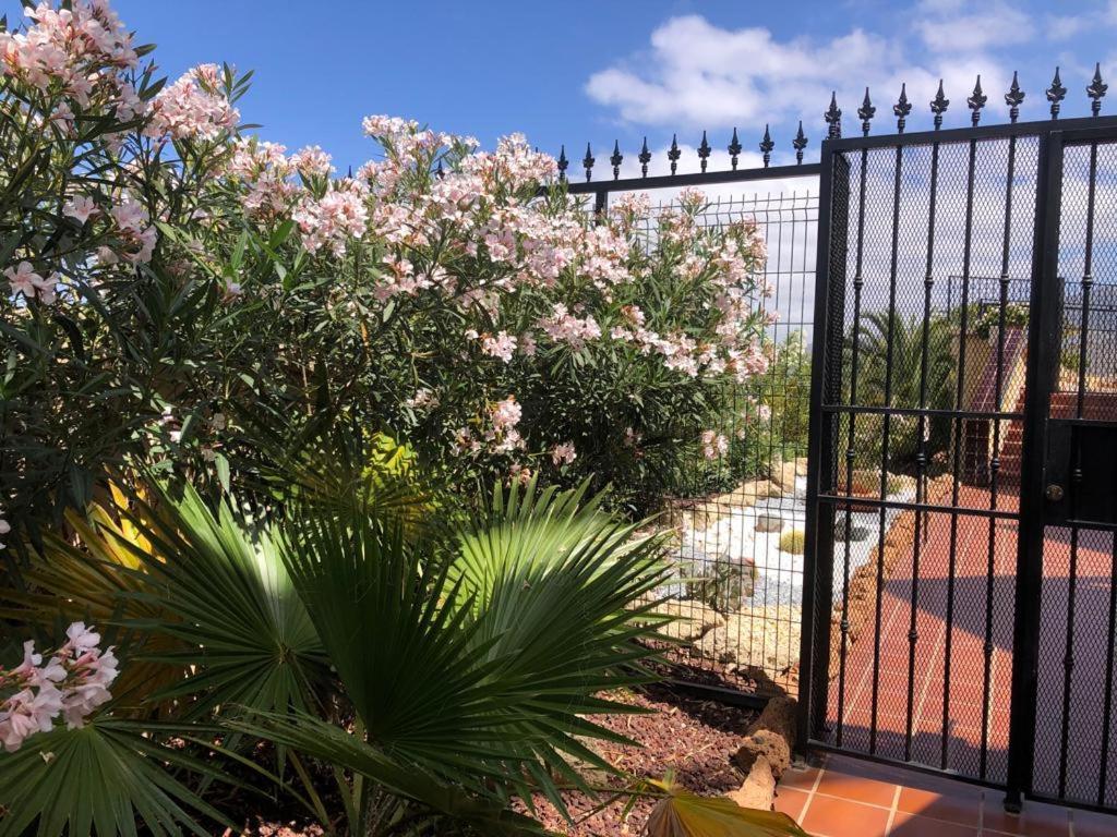 Apartamento Con Impresionantes Vistas Y Piscina Costa Adeje  Eksteriør billede